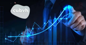 Cubvh What it Is? And All You Need To Know