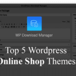 WordPress Themes for Online Store