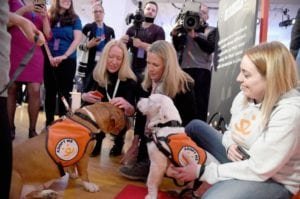 facebook live feature