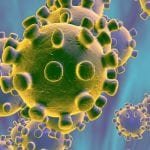 The Gods Of Coronavirus: The Untold Story