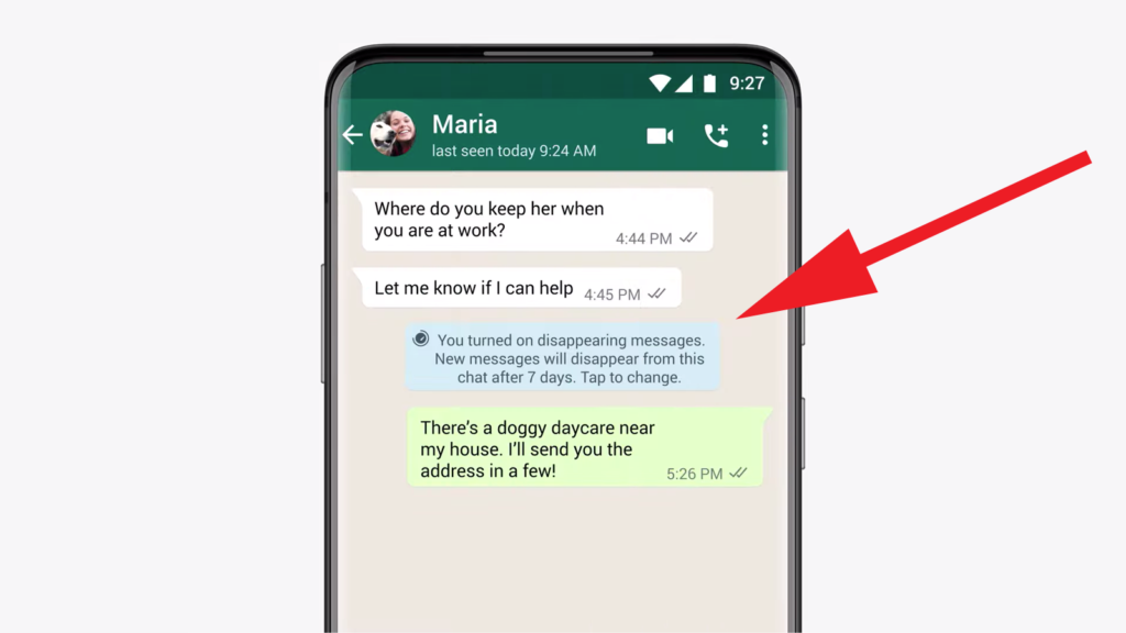 WhatsApp New Disappearing Messages