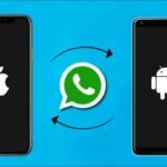 Transfer WhatsApp Chats Between iOS and Android